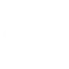 N-Club de Leones